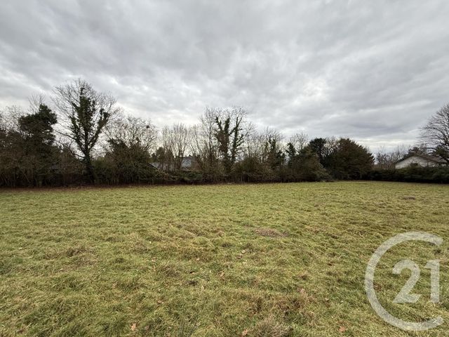 terrain à vendre - 1438.0 m2 - VILLENEUVE D ASCQ - 59 - NORD-PAS-DE-CALAIS - Century 21 Grands Boulevards